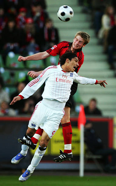 的拼搏精神 的拼搏精神