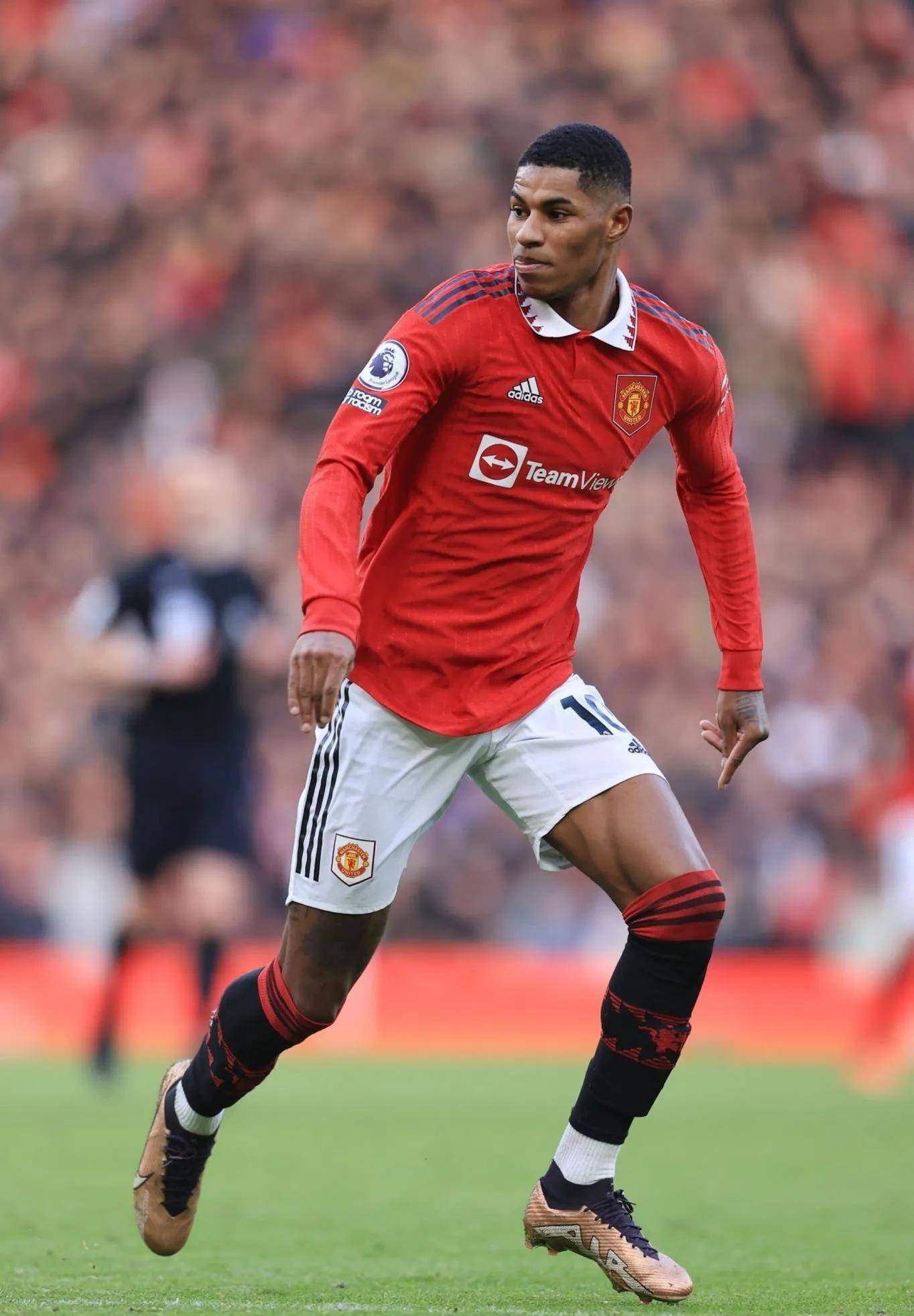 租借至贝蒂 租借至贝蒂